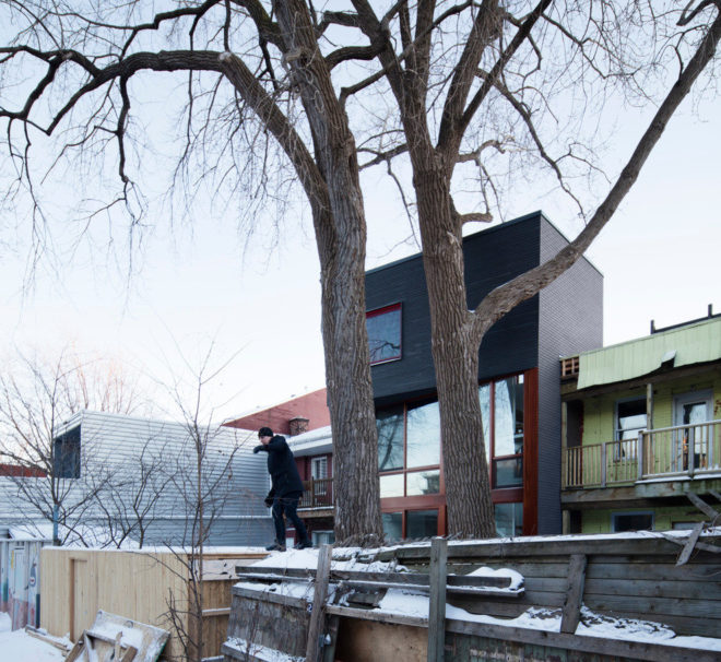 architecture microclimat, home renovations, home expansions, additions, trees, preserving trees, backyard, montreal, canada