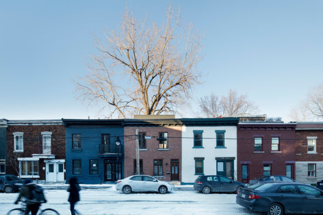 architecture microclimat, home renovations, home expansions, additions, trees, preserving trees, backyard, montreal, canada