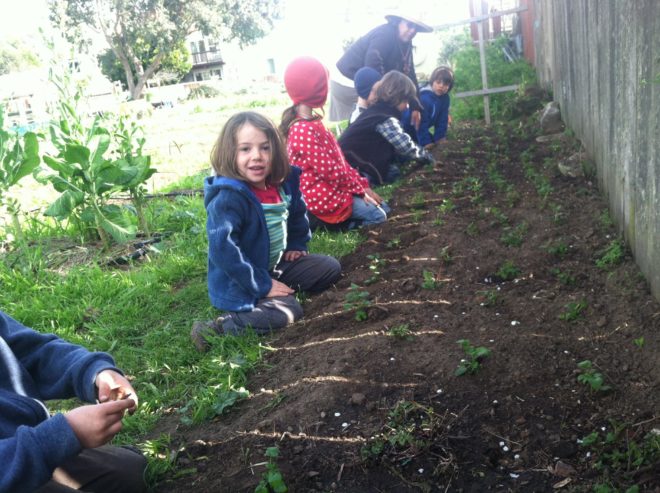 Golden Bridges Kids Farming, Kids farming at Golden Bridges School, Farm School, Farming Kindergarten