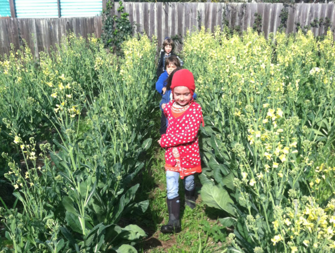 Kids on Farm, Golden Bridges Kids Farming, Kids farming at Golden Bridges School, Farm School, Farming Kindergarten