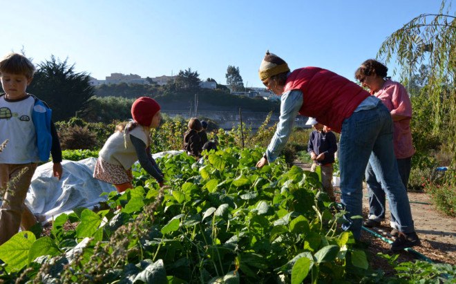 Golden Bridges Kids Farming, Kids farming at Golden Bridges School, Farm School, Farming Kindergarten