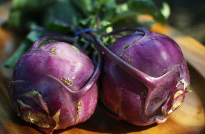 kohlrabi, brassica, cabbage, cabbages, CSA box vegetables, CSA box, weird veggies, vegetables, root vegetables