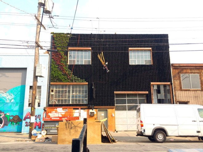 california, san francisco, planted design, amanda goldberg, living mural, living wall, botanical design, ecological design, sustainable art, community art, drought-resistant plants, plants as art