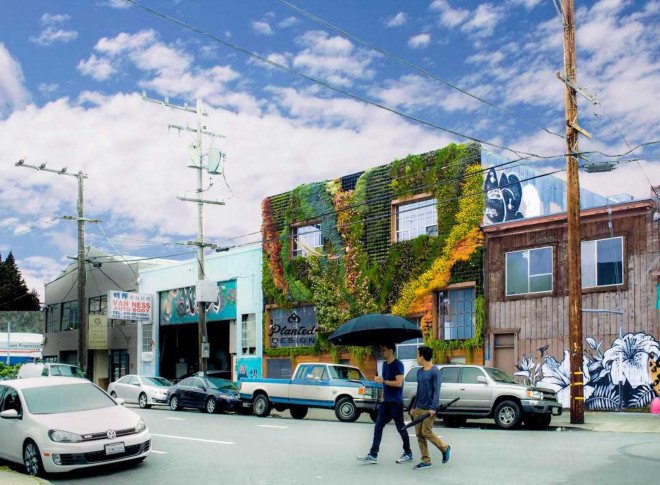 california, san francisco, planted design, amanda goldberg, living mural, living wall, botanical design, ecological design, sustainable art, community art, drought-resistant plants, plants as art