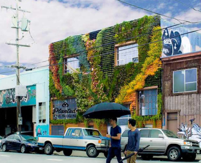 california, san francisco, planted design, amanda goldberg, living mural, living wall, botanical design, ecological design, sustainable art, community art, drought-resistant plants, plants as art