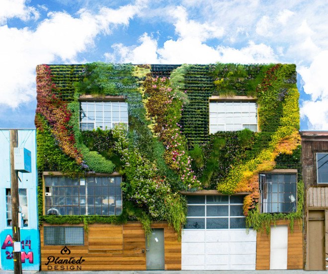 california, san francisco, planted design, amanda goldberg, living mural, living wall, botanical design, ecological design, sustainable art, community art, drought-resistant plants, plants as art