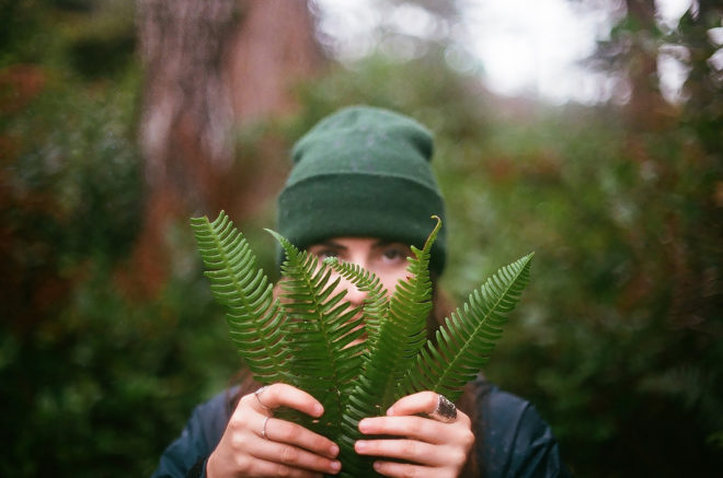Plants, plant, biology, plant biology, research, science, University of Western Australia, Olivier Van Aken, ferns