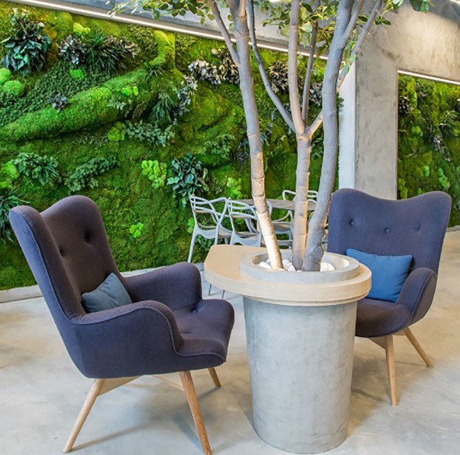 T.Bar, Dos G Arquitectos, T.Bar by Dos G Arquitectos, restaurant design, park, European courtyard, courtyard, concrete, living walls, restaurant, fast food, fusion food