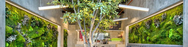 T.Bar, Dos G Arquitectos, T.Bar by Dos G Arquitectos, restaurant design, park, European courtyard, courtyard, concrete, living walls, restaurant, fast food, fusion food