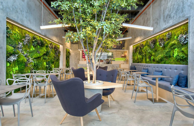 T.Bar, Dos G Arquitectos, T.Bar by Dos G Arquitectos, restaurant design, park, European courtyard, courtyard, concrete, living walls, restaurant, fast food, fusion food