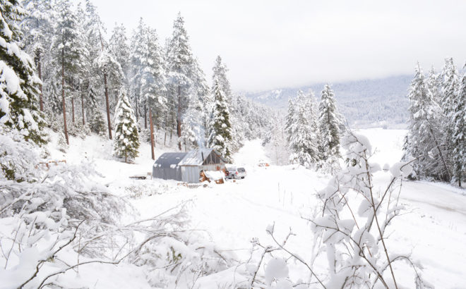Pure Living For Life, off grid, off grid cabin, reader submitted content, reclaimed materials, cabin built from reclaimed materials