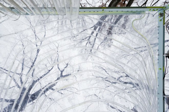 algae, algae photobioreactor, Jie Zhang, Tyler Stevermer, Selgascano, Algaevator, BoTT Lab pavilion, reader submitted content