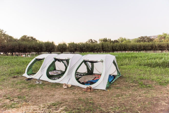 alite, sierra shack, camping, tent, pop up tent, campsite, outdoors, modular design, camping supplies