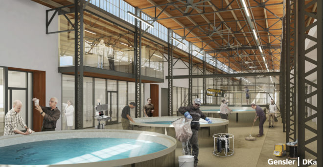 port of los angeles, city dock no. 1, altasea, gensler, jenny krusoe, southern california marine institute, campus of innovation, marine research, ocean research, marine biology, sustainable research, research facility, oceanography