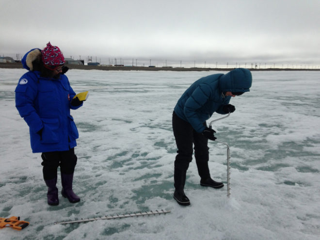 Arctic, Arctic sea ice, climate change, global warming, weather, melting ice, ice, National Snow and Ice Data Center, NASA, data, research, researchers, science