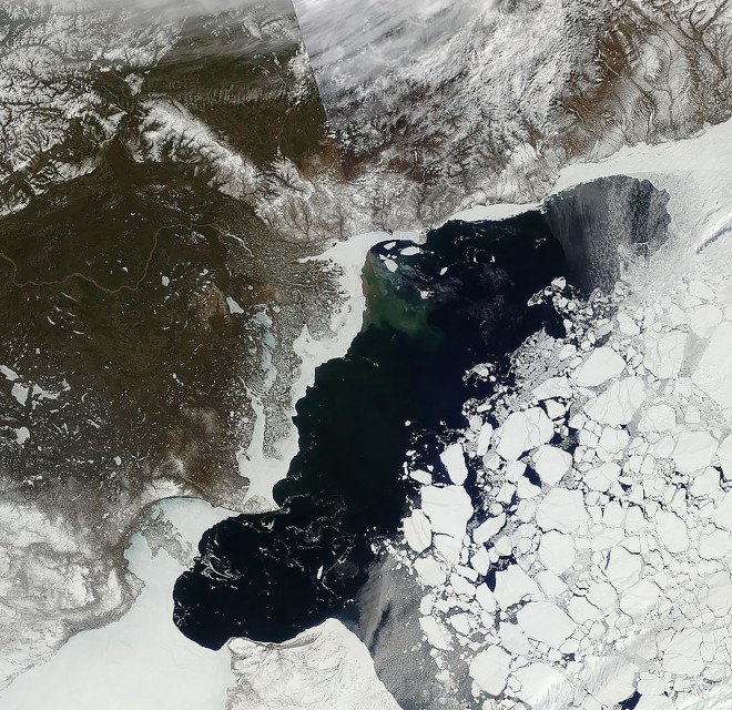 Arctic, Arctic sea ice, climate change, global warming, weather, melting ice, ice, National Snow and Ice Data Center, NASA, data