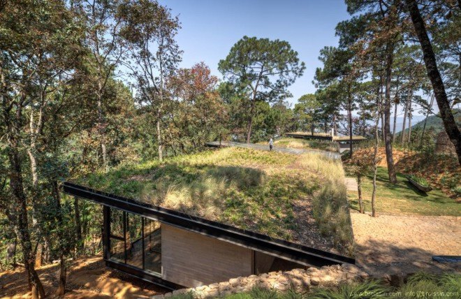 Broissin, green-roofed home, woodland home, Irekua Anatani house, Mexico, cantilevered deck, outdoor pool, open-plan home