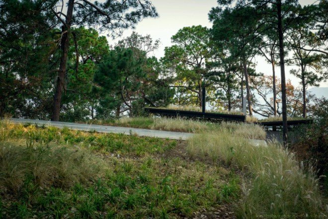 Broissin, green-roofed home, woodland home, Irekua Anatani house, Mexico, cantilevered deck, outdoor pool, open-plan home