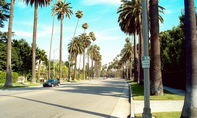 Trees, California, California trees, California street trees, street trees, University of California Davis, UC Davis, USDA Forest Service, carbon storage, climate change, energy savings