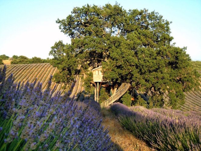 Farmhouse La Piantata, La Piantata treehouse, treehouse glamping, treehouse glamping in Tuscany