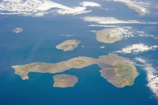 galapagos islands, rats, galapagos rats, invasive species, invasive rats, pests, rodents, endangered, gmo, gene drive, genetically modified, island conservation, conservation
