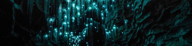Glowworms, glow worms, caves, cave, Shaun Jeffers, photography, Shaun Jeffers Photography, Discover Waitomo, Waitomo Glowworm Cave, Ruakuri Cave