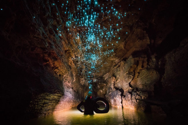 Glowworms, glow worms, caves, cave, Shaun Jeffers, photography, Shaun Jeffers Photography, Discover Waitomo, Waitomo Glowworm Cave, Ruakuri Cave