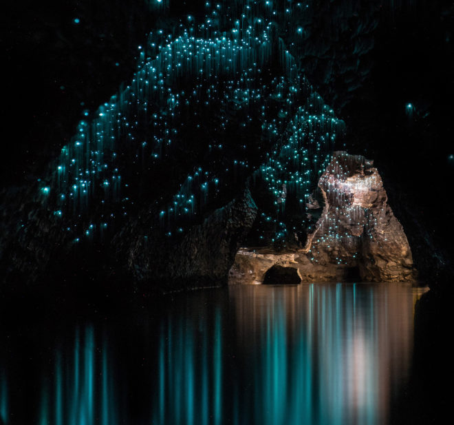 Glowworms, glow worms, caves, cave, Shaun Jeffers, photography, Shaun Jeffers Photography, Discover Waitomo, Waitomo Glowworm Cave, Ruakuri Cave