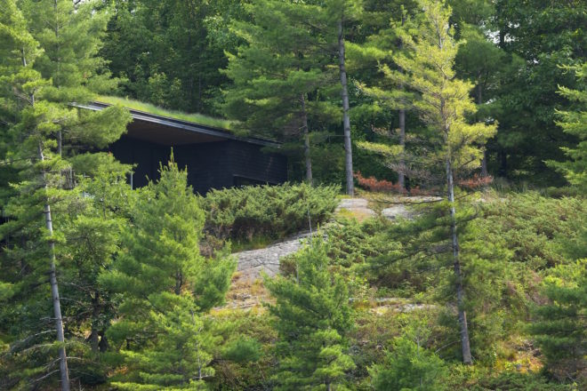 Go Home Bay Cabin by Ian MacDonald Architect, green-roofed cabin, cabins in southern Ontario, eco-friendly cabin, cabin retreat in Ontario