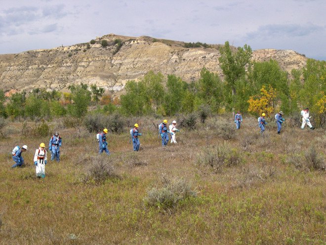 herbicide, glyphosate, native species, invasive species, north america, wildlands, tribal lands, federal lands