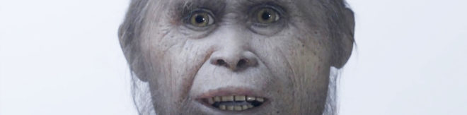 Hobbit, fossil, evolution, science, hominin, Flores, Indonesia, human relative, archaeology