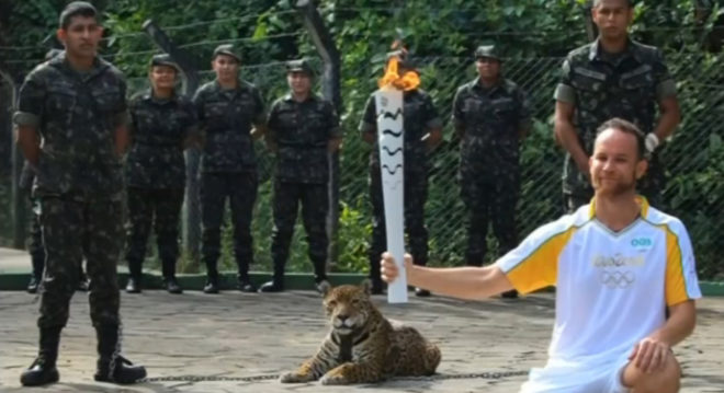 Jaguars, jaguar, Juma, Brazil, Rio 2016, 2016 Olympics, 2016 Olympic games, torch relay, Olympic torch relay, animals, animal rights, animal death