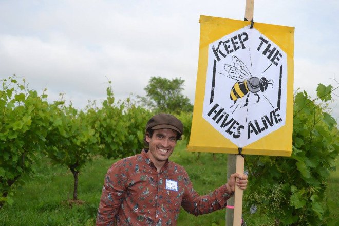 Bees, bees dying, EPA, Environmental Protection Agency, rally, bee hive, save the bees, protect bees, insects, honey, Keep The Hives Alive