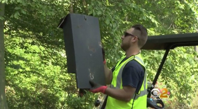 zika, zika control, bat box, bat boxes, north hempstead, long island mosquito, mosquito control, how to control mosquitoes, how to kill mosquitoes, zika mosquito, natural mosquito defense, mosquito control, zika control, zika new york, zika nyc