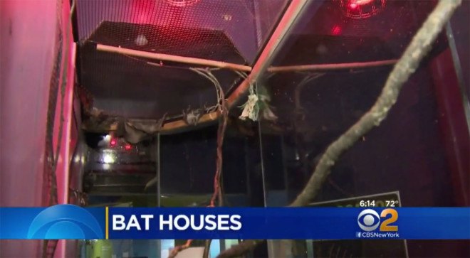 zika, zika control, bat box, bat boxes, north hempstead, long island mosquito, mosquito control, how to control mosquitoes, how to kill mosquitoes, zika mosquito, natural mosquito defense, mosquito control, zika control, zika new york, zika nyc