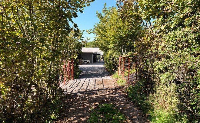 Outhouse, green roof, England, artist's studio, light wells, Loyn & Co Architects , green architecture, concrete pavilion