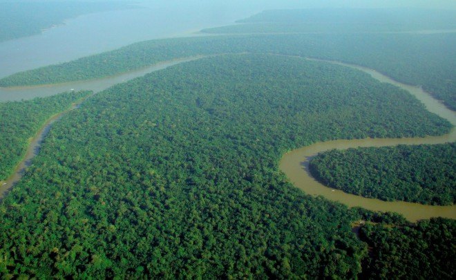 Norway, deforestation, rainforest, forests