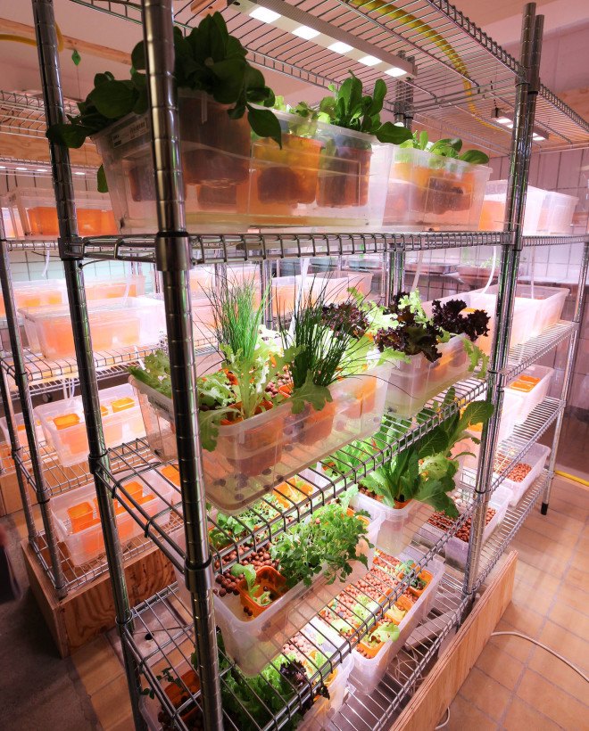 Space10, IKEA, IKEA Space10, hyrdoponics, IKEA hydroponics, Space10 hydroponics, sustainable eating, sustainable farming, indoor farming, hydroponics farming, hydroponics, farm to table, sustainable growing, sustainable dining, sustainable restaurants, mealworm hamburger, bugburger, suprise fries, Simon Perez