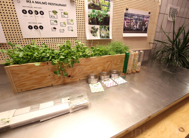 Space10, IKEA, IKEA Space10, hyrdoponics, IKEA hydroponics, Space10 hydroponics, sustainable eating, sustainable farming, indoor farming, hydroponics farming, hydroponics, farm to table, sustainable growing, sustainable dining, sustainable restaurants, mealworm hamburger, bugburger, suprise fries, Simon Perez