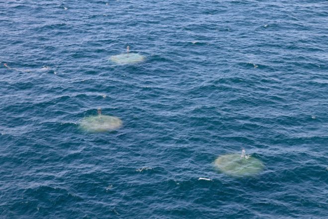 Carnegie Wave Energy Project, Australia, wave power, ocean energy, renewables