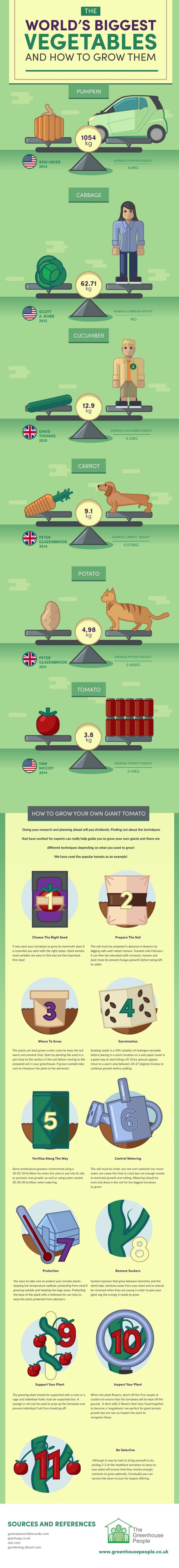 The Greenhouse People, world’s biggest vegetables, reader submitted content, Guinness World Record, Beni Meier, world’s largest pumpkin, how to grow big vegetables, infographic