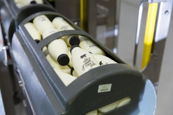 australia, made by cow, raw milk, milk, dairy cows, cold pressed milk, cold processed raw milk, safe raw milk, raw milk laws, selling raw milk, saxon joye