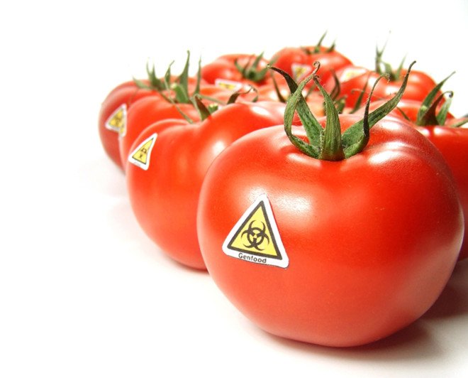gmo labeling, vermont, bernie sanders, congress, us congress, us senate, lawmakers, legislation, monsanto, whole foods, organic foods, food democracy now, petition