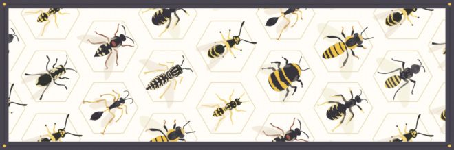 bees, save the bees, bee conservation, wasps, honeybees