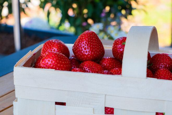 fresh strawberries in a wood basket