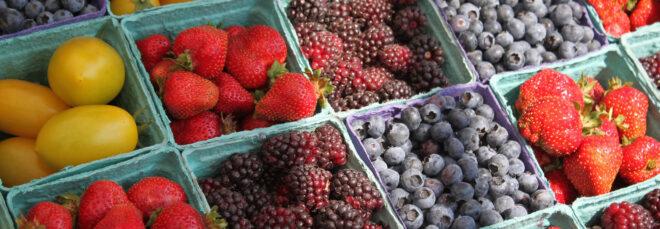 containers of fresh berries and tomatoes