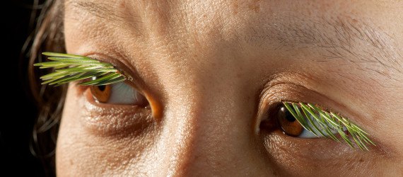 michelle murphy, fake eyelashes, green beauty, eco makeup