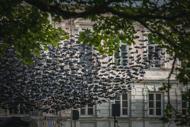 Nature Concert Hall 2016, Nature Concert Hall by Didzis Jaunzems Architecture, Nature Concert Hall bats, bat art installation