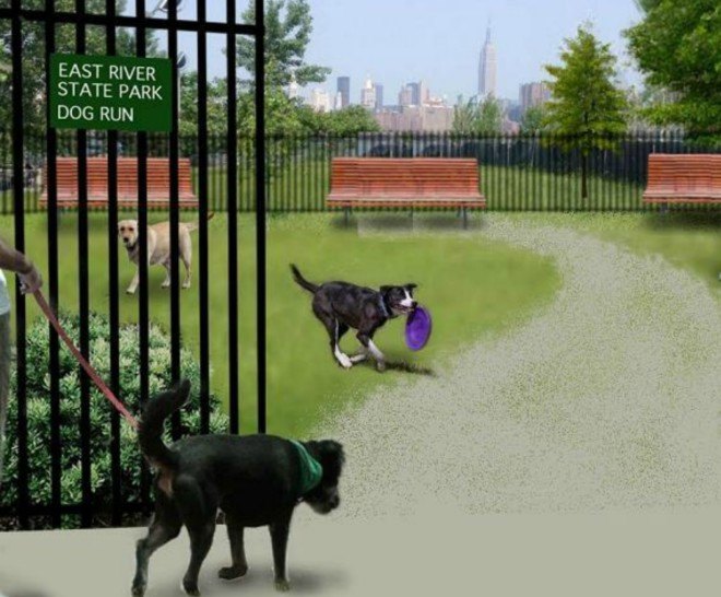East River State Park, plastic poop bags, compost dog poop, dog run compost, williamsburg dog poop compost, composting nyc, nyc compost programs, nyc pooch playground, canine-crap composting system, sustainable design, ny composting