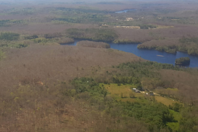 Gypsy moth caterpillar, caterpillar, caterpillars, caterpillar infestation, caterpillar population boom, New England, Rhode Island, NASA Earth Observatory, NASA, satellite images